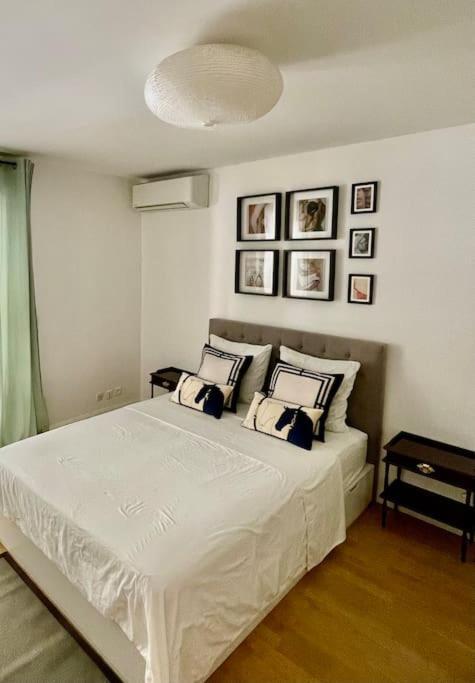 Large Magnificent Terrace Apartment Nice Bagian luar foto